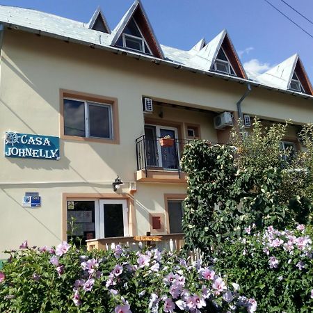 Pensiunea Casa Johnelly コスティネシュティ エクステリア 写真