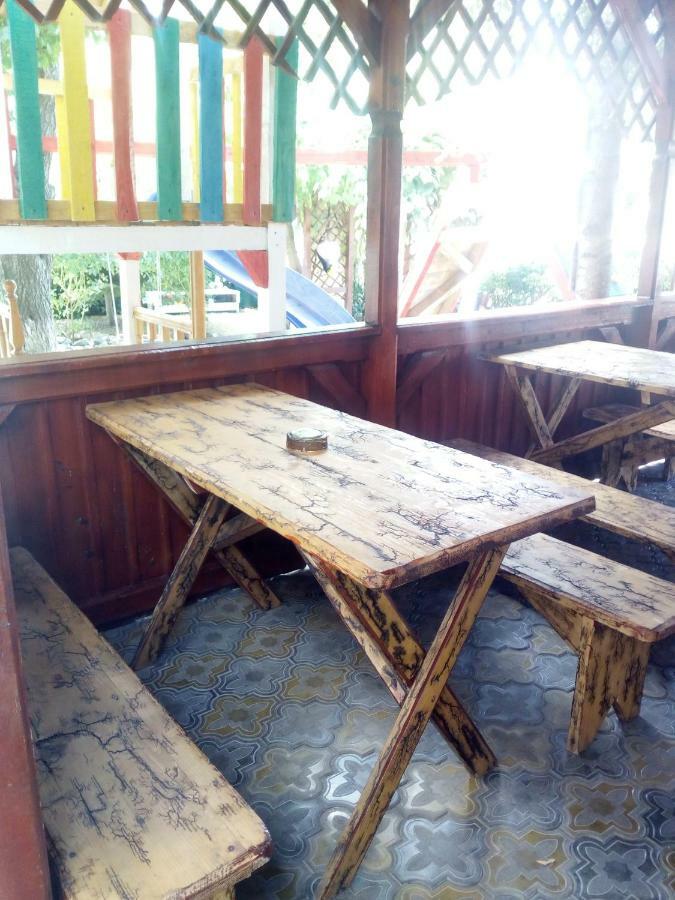 Pensiunea Casa Johnelly コスティネシュティ エクステリア 写真